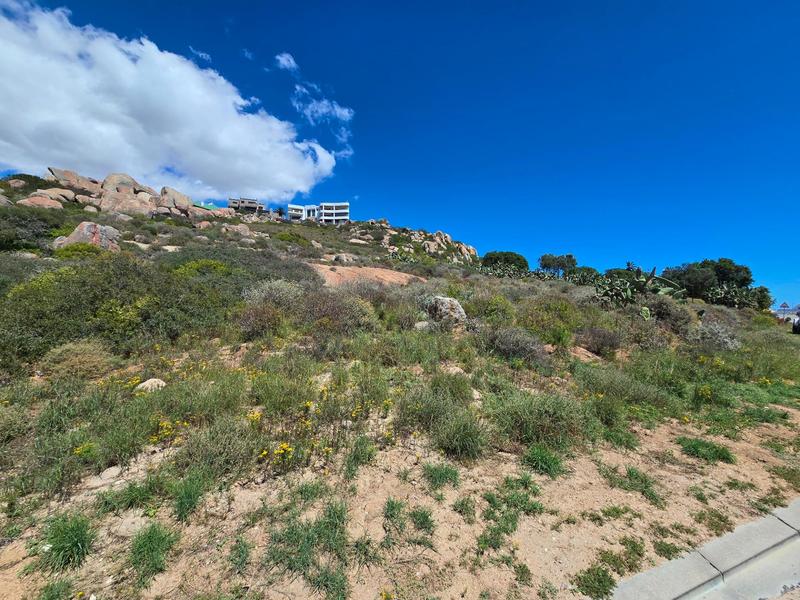 0 Bedroom Property for Sale in Blueberry Hill Western Cape